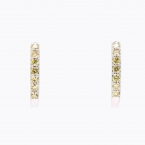 Melody yellow diamond huggie earrings