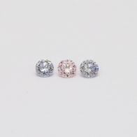 0.15 Total carat trio of round cut 6PR Argyle pink and BL2 Argyle blue diamonds
