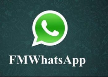 FMWhatsApp- The Best Alternative For WhatsApp