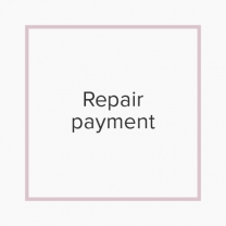 Repair Payment