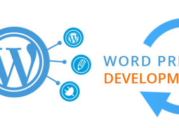 Importance of WordPress Development